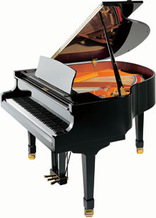 Wagner Piano Petrof Grand PV